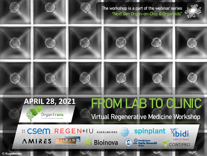 Virtual-Regenerative-Medicine-Workshop-Banner Bedoni