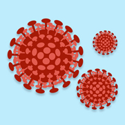 FDG Coronavirus Sito 02