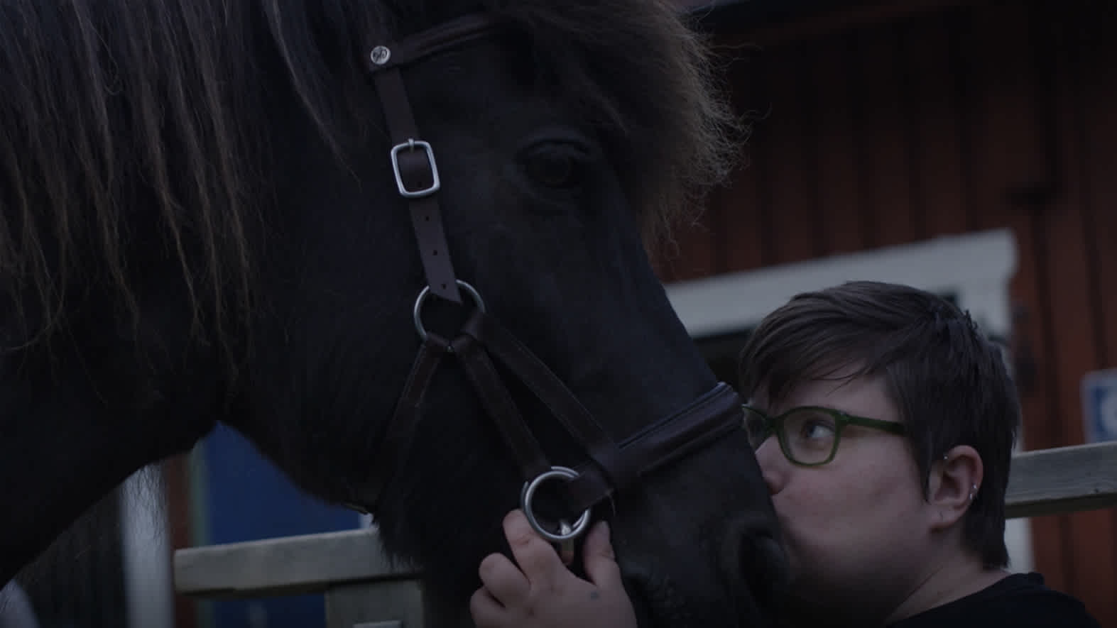 Rebecka pussar hästen på mulen.