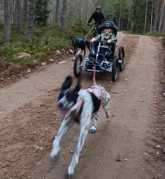 En ung kille i cykel efter en hund.