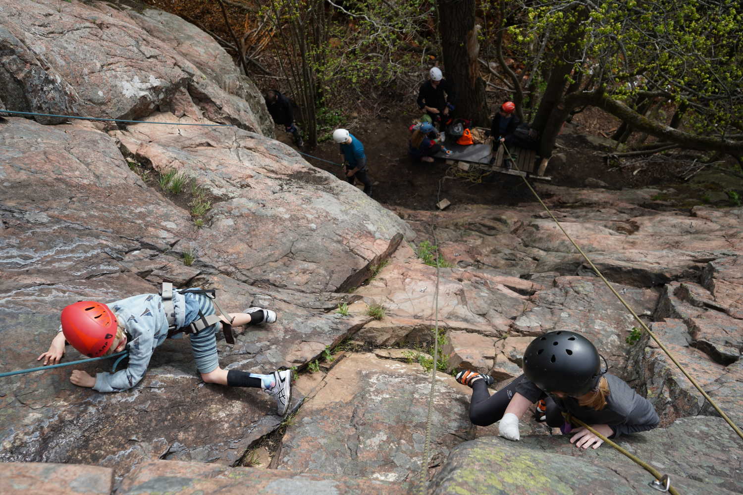 Utomhusmiljö, bergvägg med skog nedanför. Bild tagen från bergets topp. Två ungdomar klättrar upp för väggen, nedanför är andra klättrare samlade. Foto: Nacka Värmdö Klätterklubb.