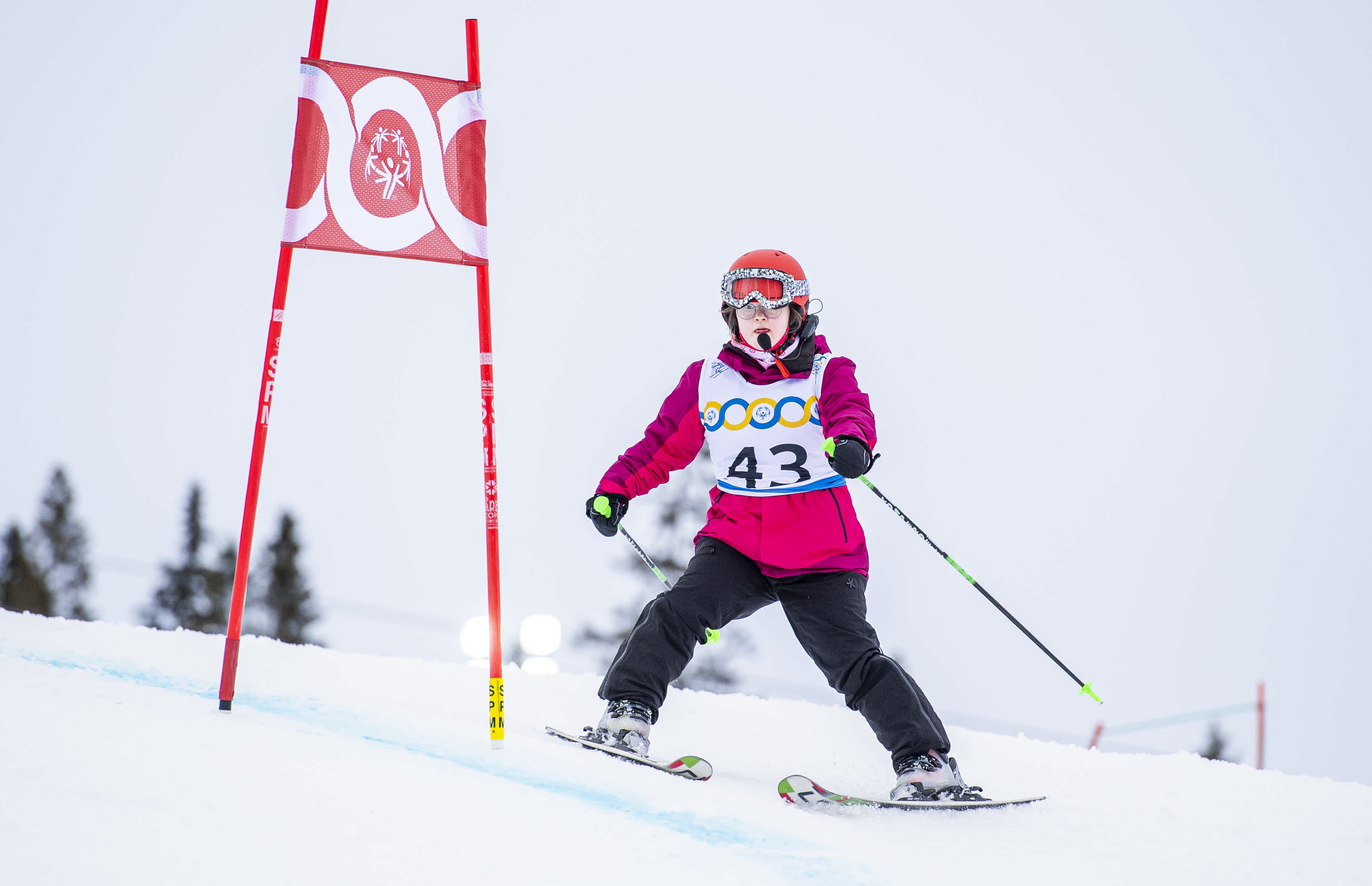 En tjej passerar en slalomkäpp i skidbacken. 