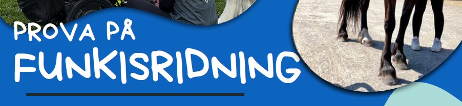 Prova funkisridning