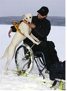 En hund och en person i rullstol.