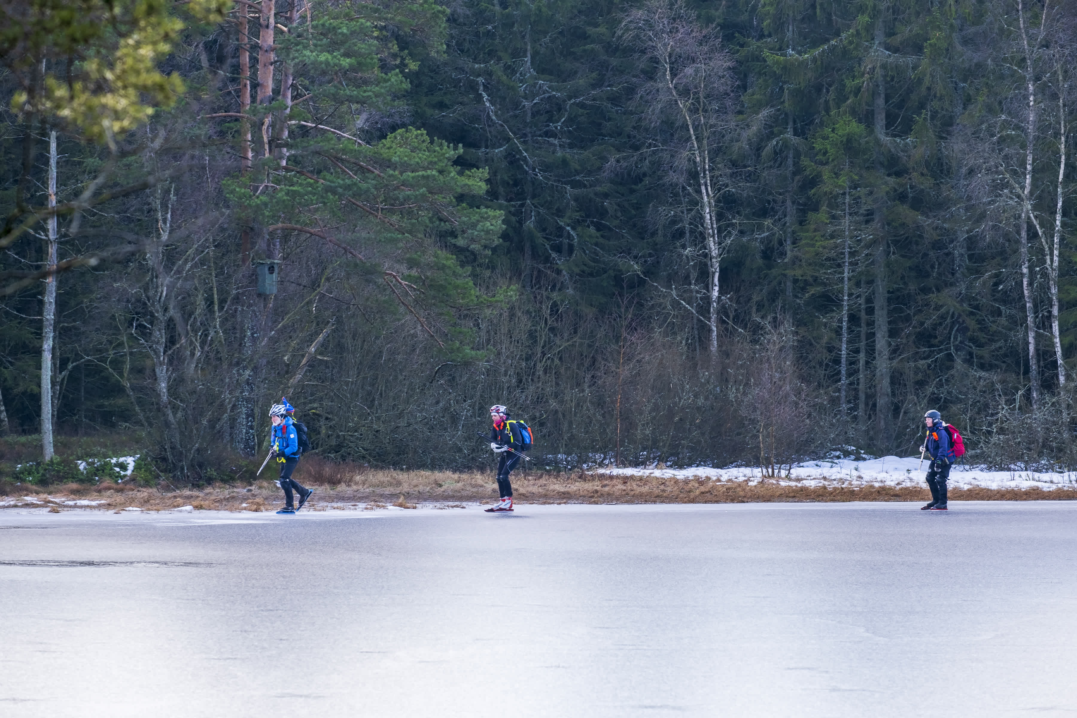 Tre personer åker långfärdskridsko på en frusen sjö i skogen.