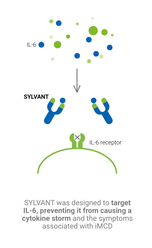 Graphic showing how SYLVANT (siltuximab) targets IL-6 to prevent it from causing a cytokine storm in people with idiopathic multicentric Castleman disease.