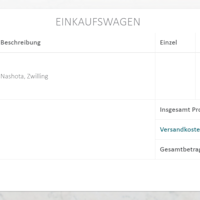 Galerie-Marah-ART Einkaufswagen