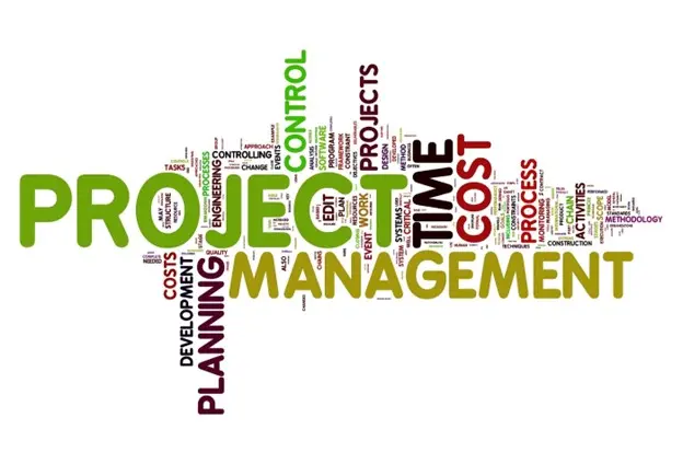 Project Management Isn’t Just About Big Plans — It’s the Little Things Too 