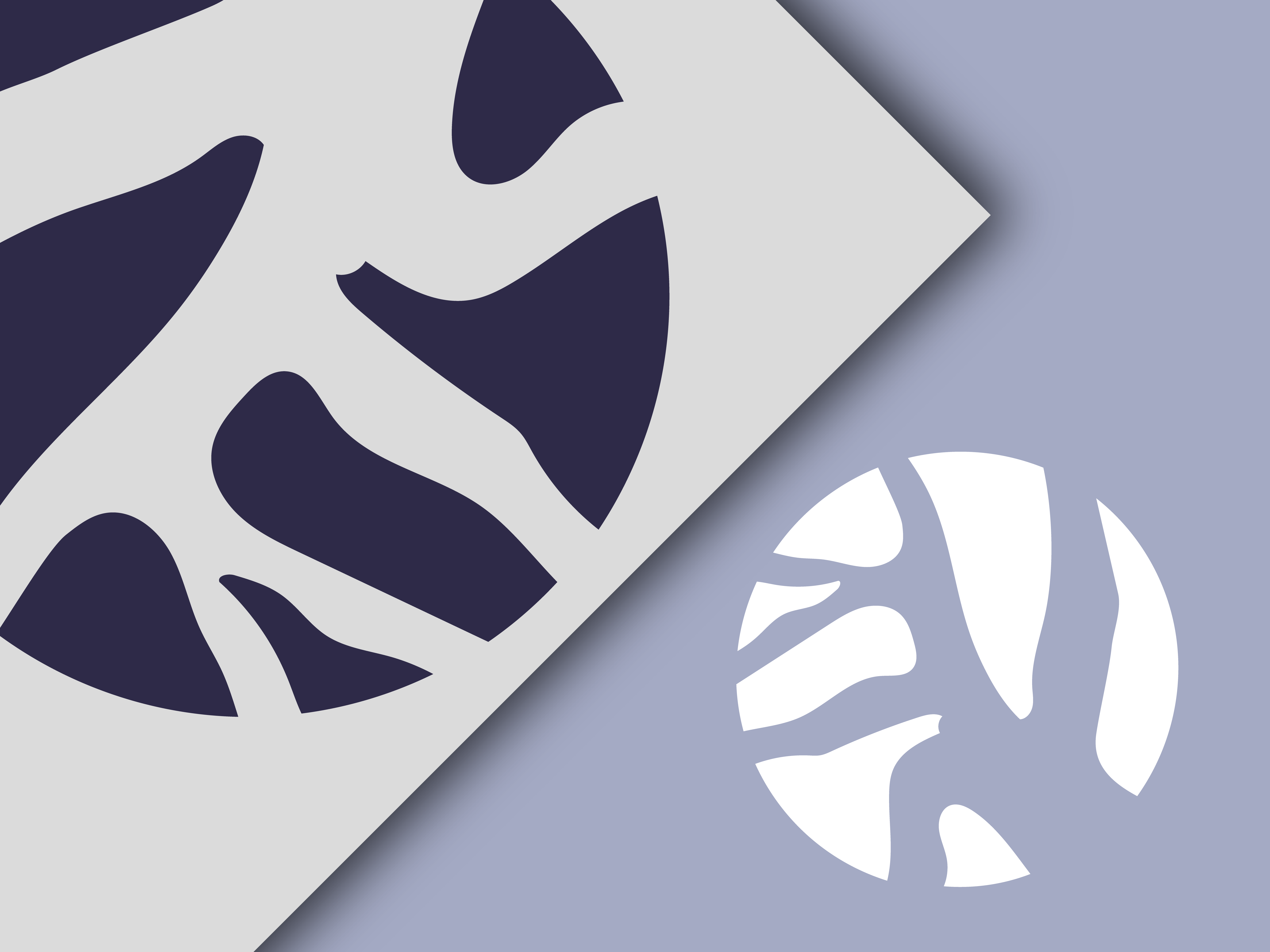 Graphic design - logo design case