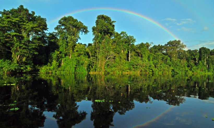Stretching across 4.6 million square miles in South America, the Amazon Rainforest basin is home to one of the world’s largest and most biodiverse populations of flora and fauna.