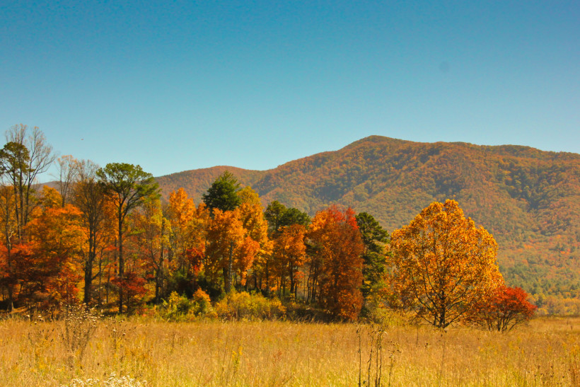 Fall in Great Smoky Mountains National Park.
