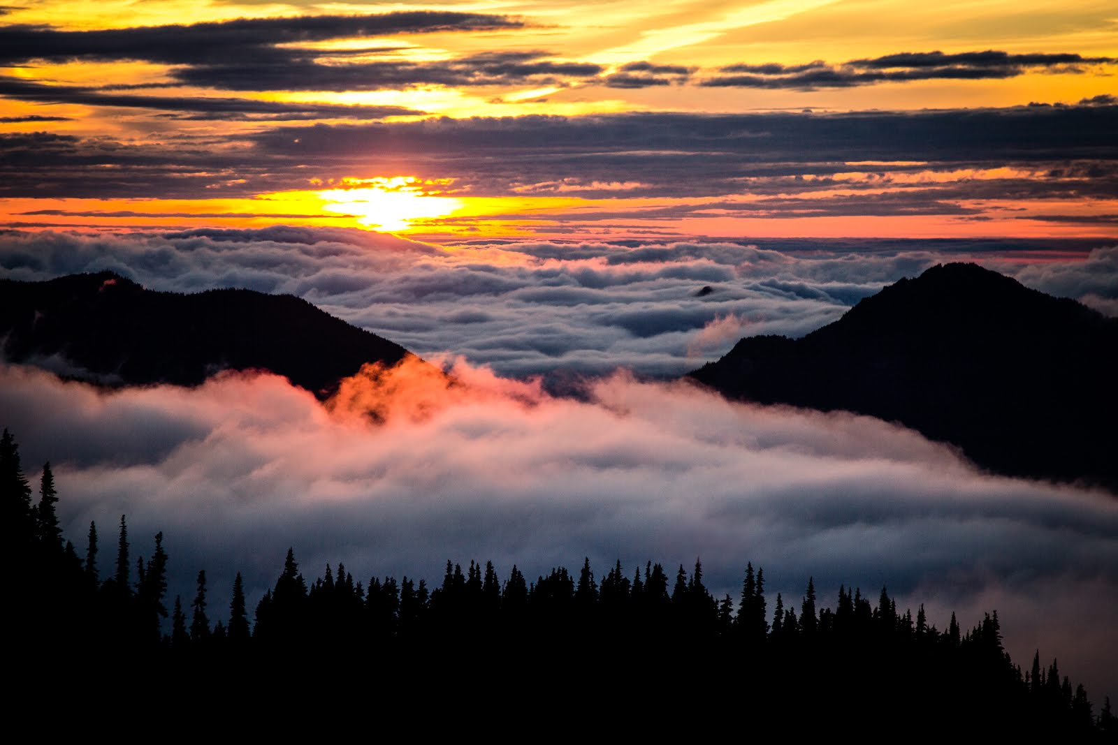 hurricane ridge hike wta