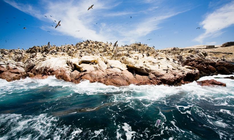 For anyone who loves animals, nature, boat rides, or a couple of days to slow down during their Peru vacation, definitely consider the Ballestas Islands.