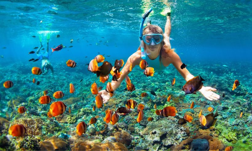 Thanks to the nutrient-rich coastal waters, diving and snorkeling in Costa Rica can be a magical experience.