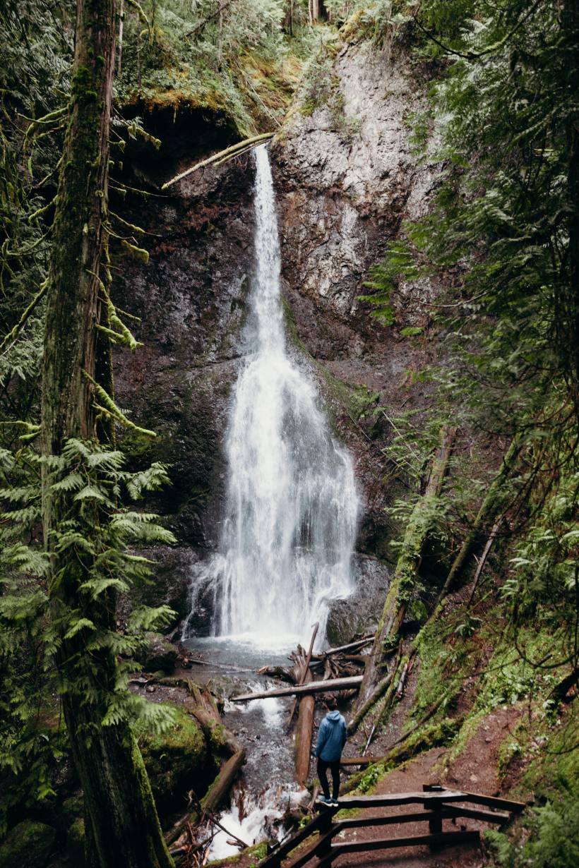 Marymere Falls, Olympic National Park 