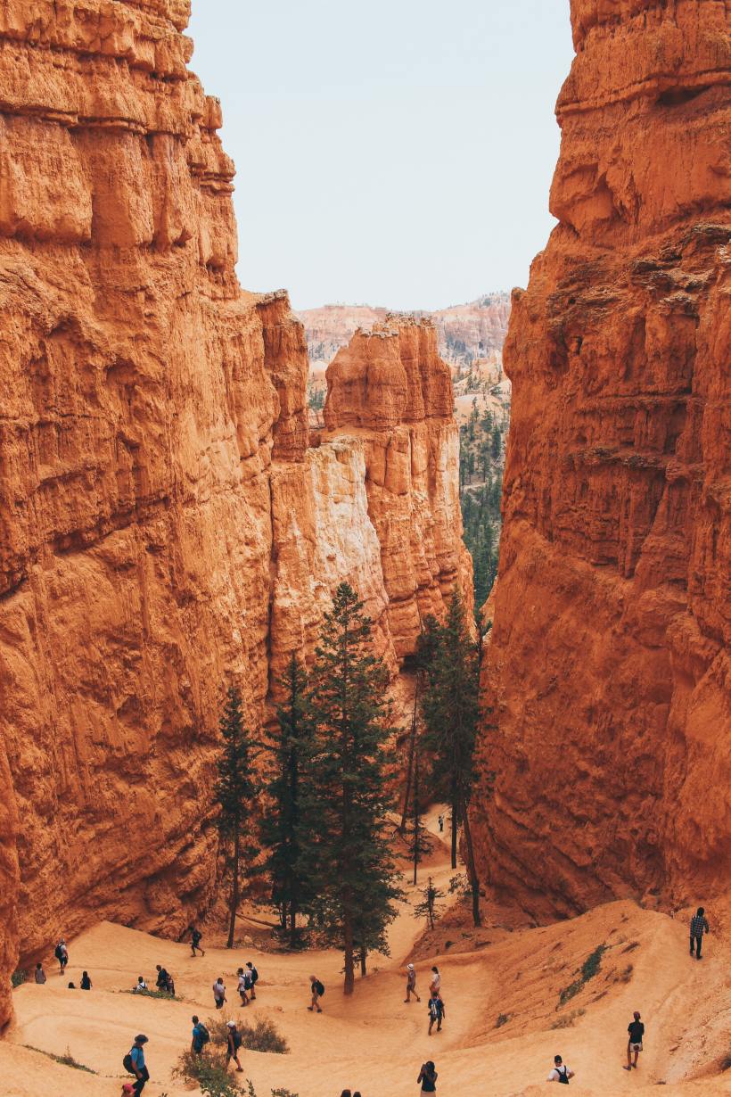 The Navajo Loop Trail, one of the best hikes in Bryce Canyon.