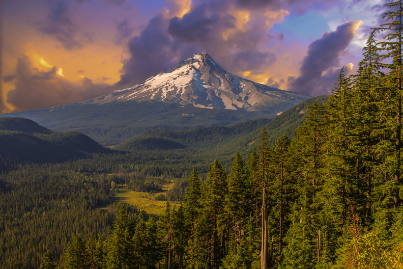 The Mt. Hood Hikes You Need to do 