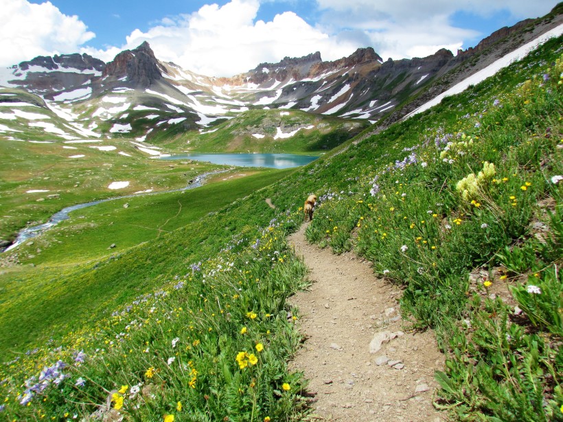 Ice Lakes Basin is a stunning Colorado hike 
