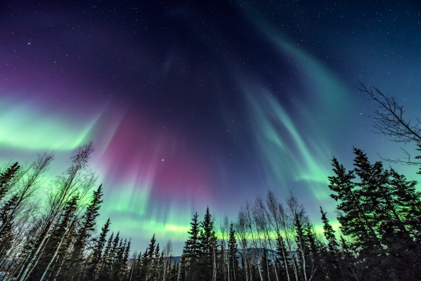 Northern Lights in Fairbanks, Alaska 