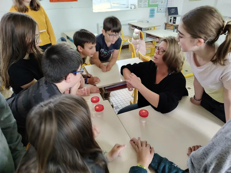Activités sciences autour de l'environnement avec les Petits Débrouillards