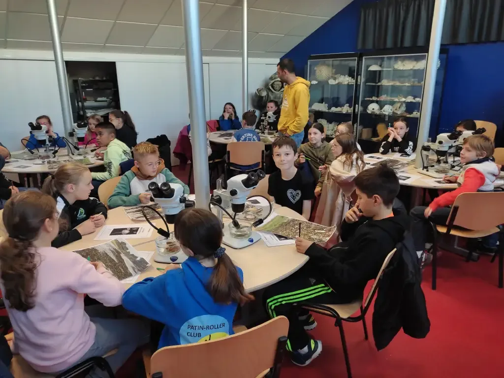 CM1 CM2 En projet autour de la Biodiversité Marine