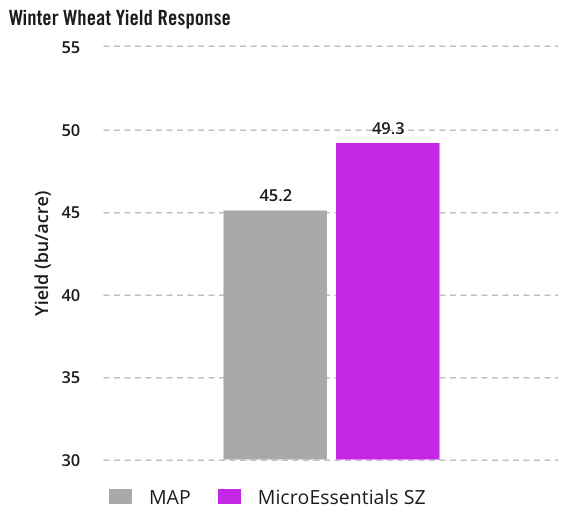 Winter Wheat Yield Response