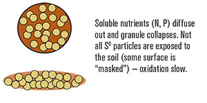 Fig. 4a: Example of fertilizer granule with 90% ES.