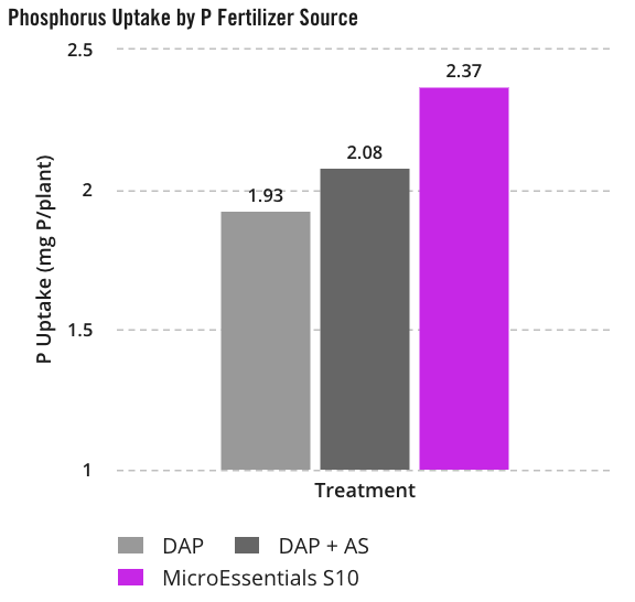Phosphorus Uptake by P Fertilizer Source