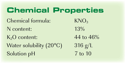 is potassium nitrate soluble in water