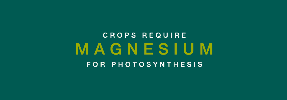 Crops Require Magnesium Gif 1