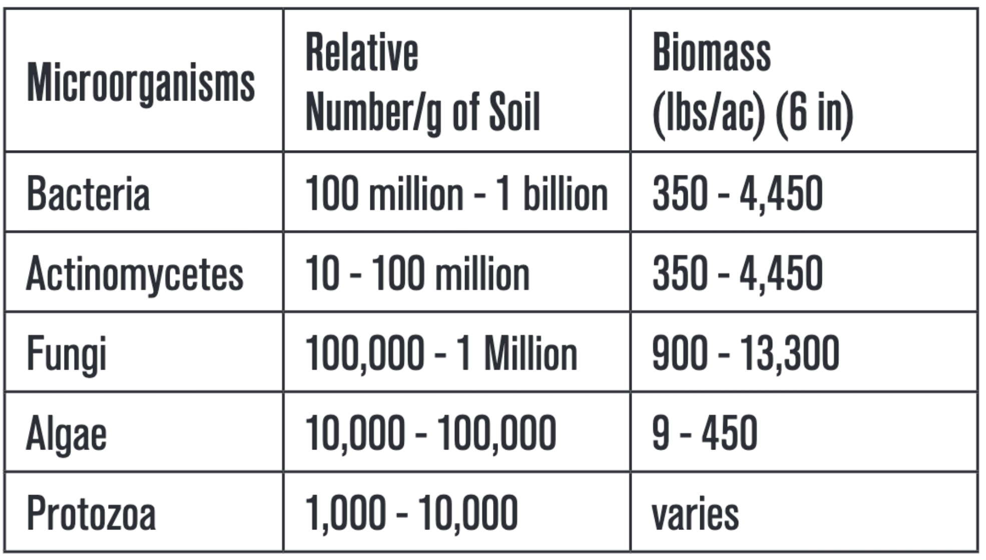 Relative Number and Biomass of Microbial Species in the Soil