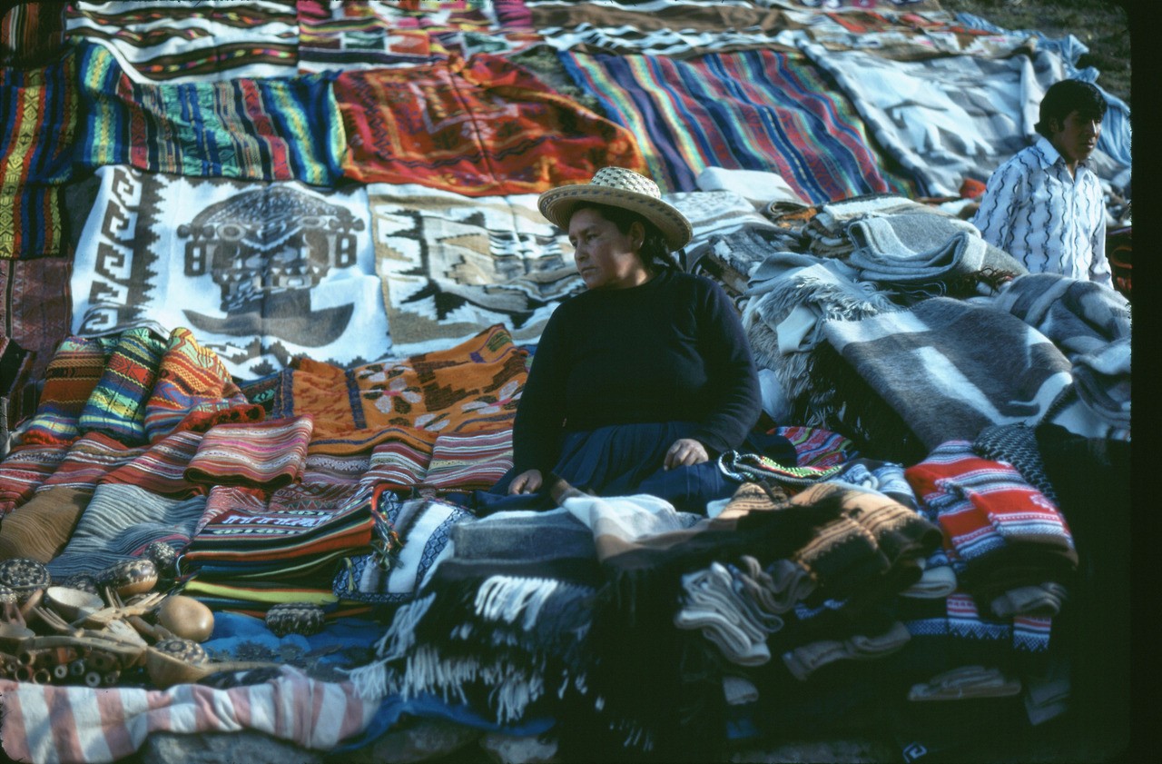 徐書磊｜臉書交易血淚史：放鳥怎麼治？