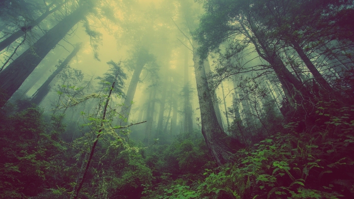 在科幻小說《三體》建構的黑暗森林，遇見社會契約論｜人文思想
