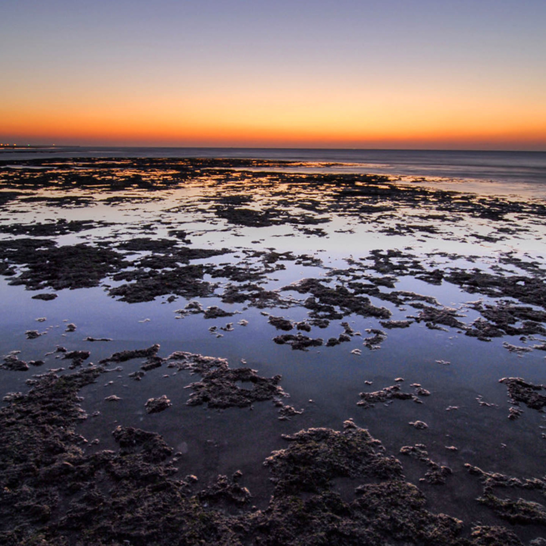 撤銷三接許可案翻盤 法院:審議過程有疑點