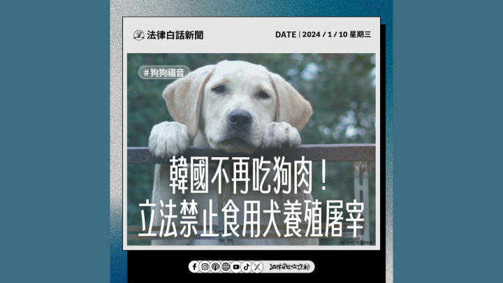 韓國不再吃狗肉！立法禁止食用犬養殖屠宰