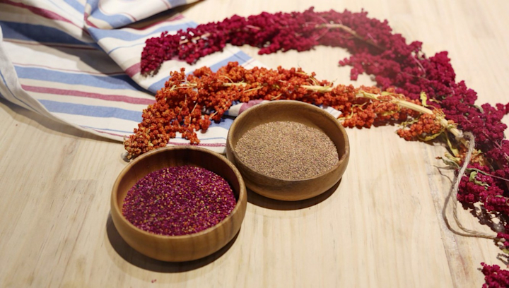 劉容真|人權就像藜麥,沒味道但很營養