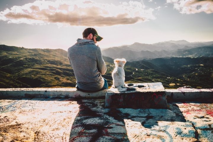 當《動物保護法》成為寵物保護法，這樣是否太偏心？｜白目觀點