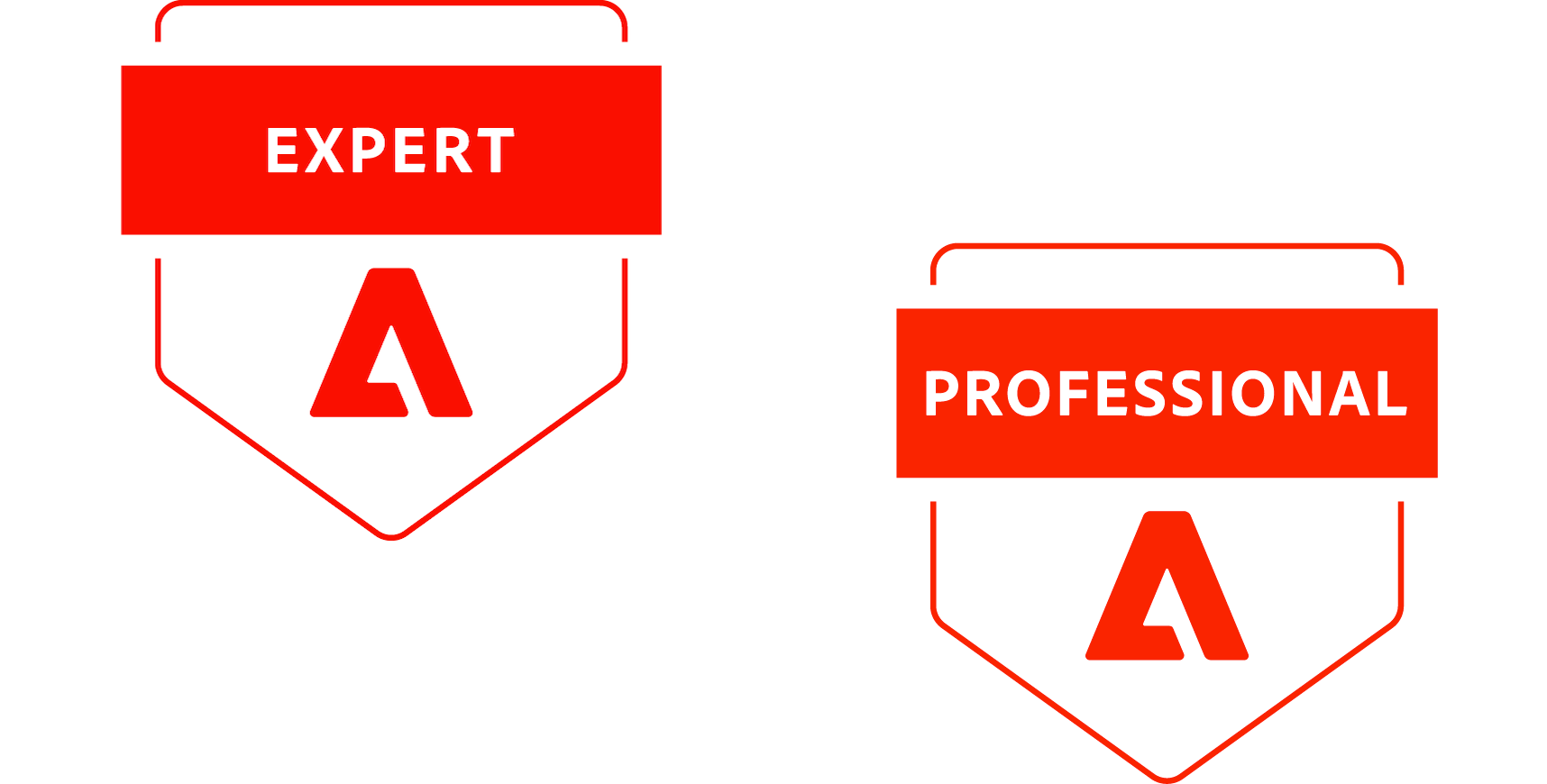 Development > expert & proffesional
