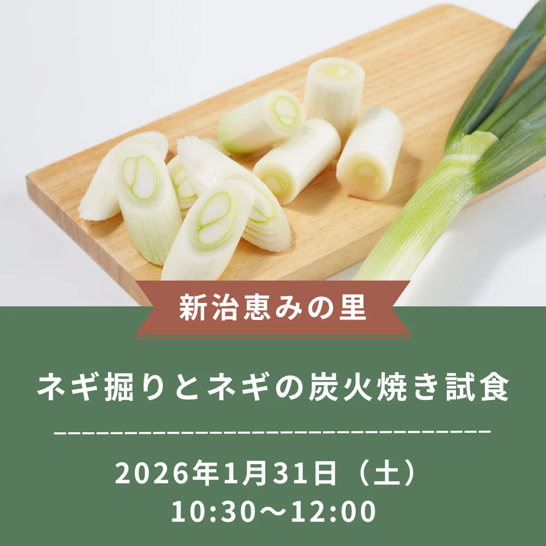 ネギ掘りとネギの炭火焼き試食