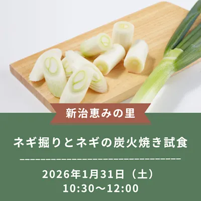 ネギ掘りとネギの炭火焼き試食