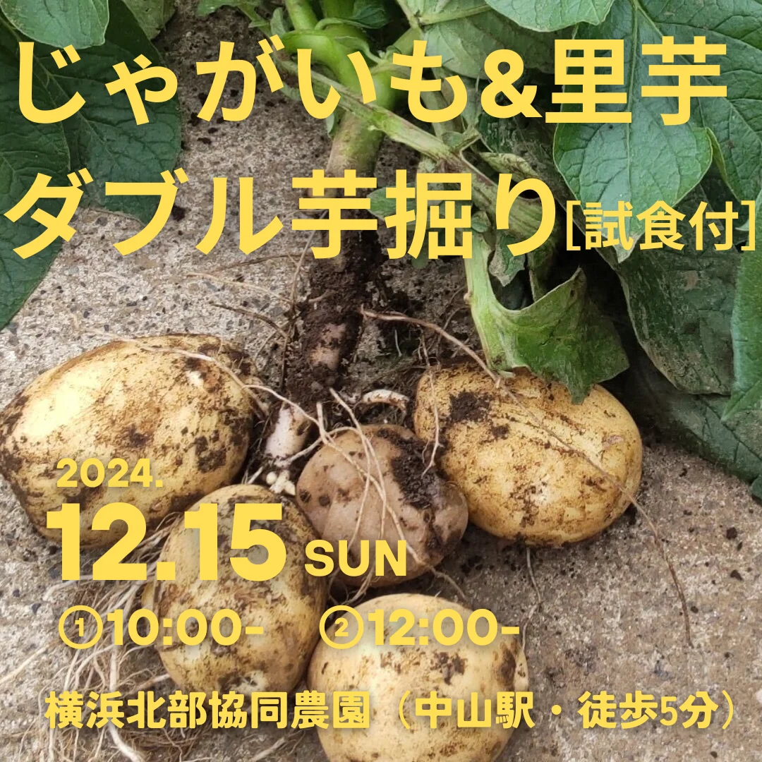 THEじゃがいも＆里芋ダブル芋掘り［試食付］