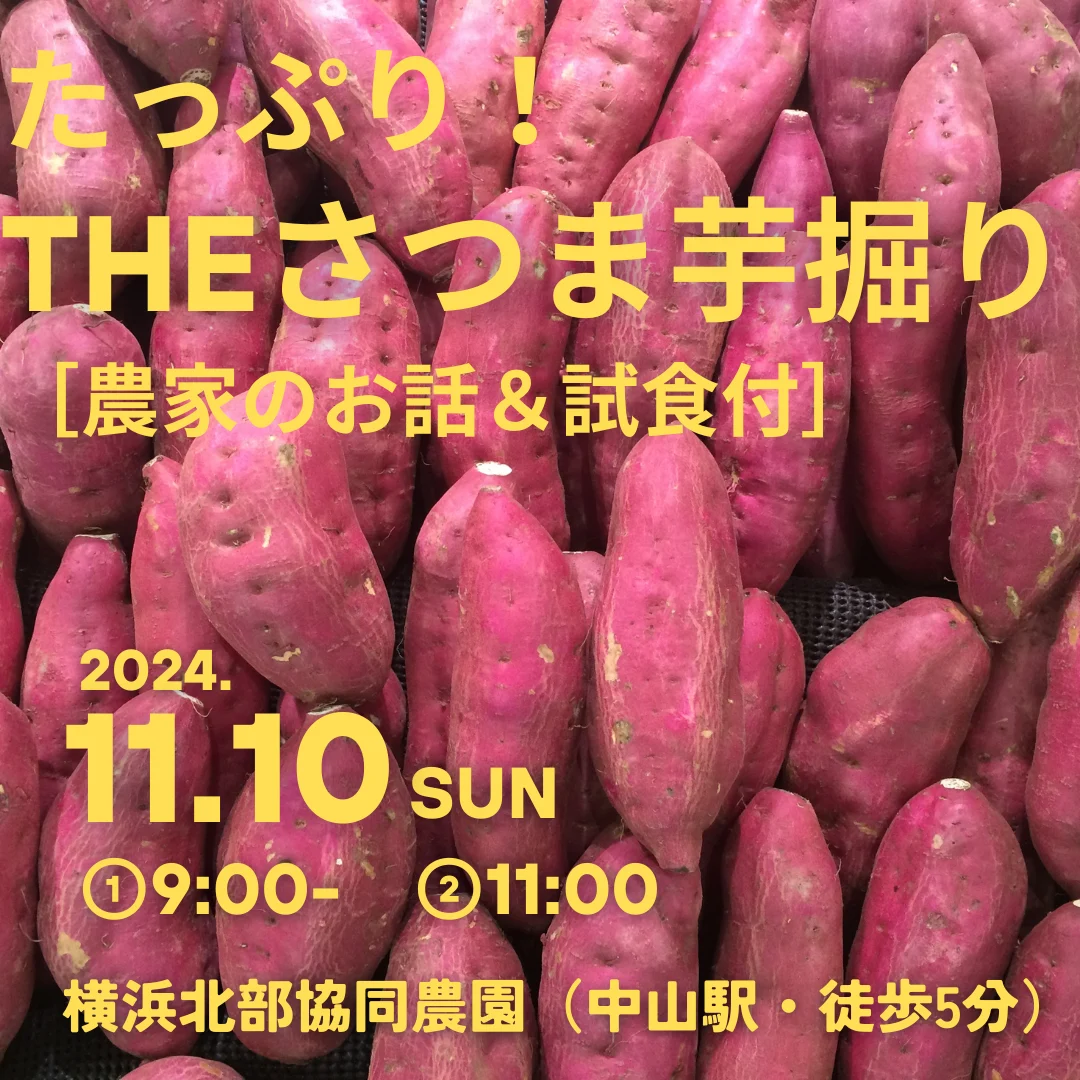 たっぷり！THEさつま芋掘り［農家のお話＆試食付］