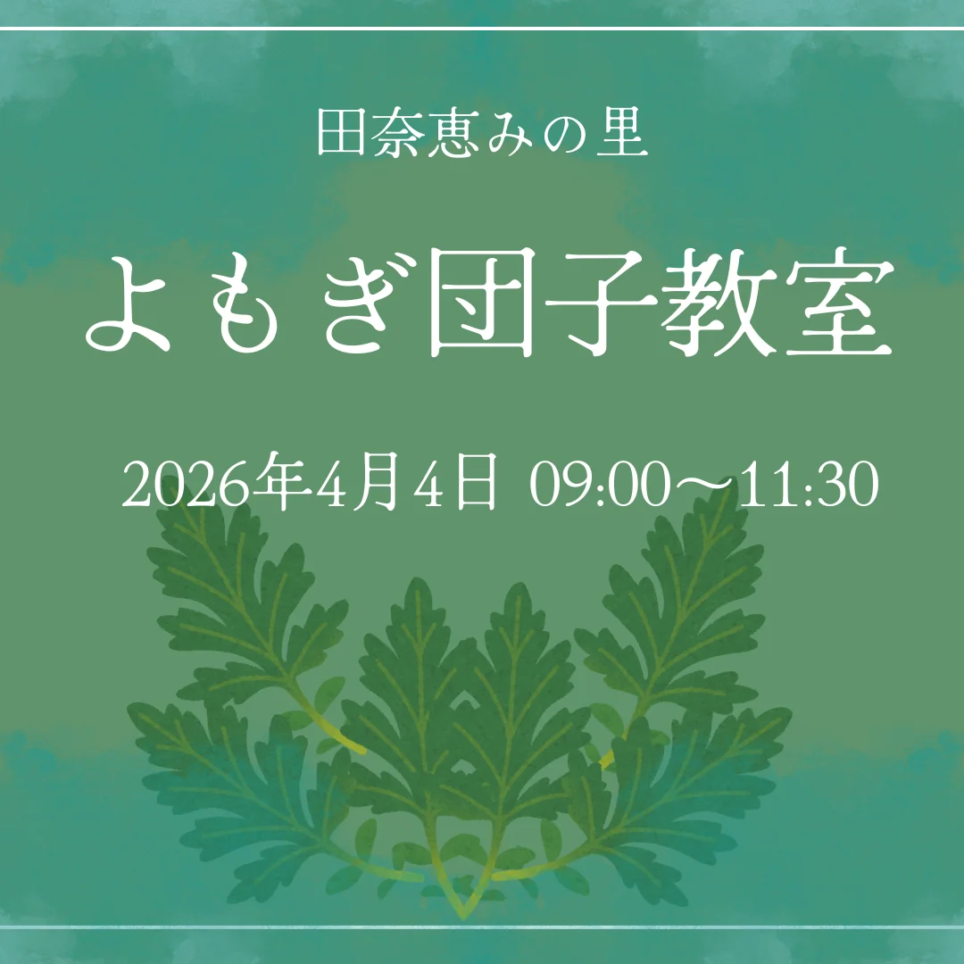 よもぎ団子教室