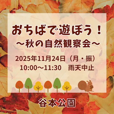 おちばで遊ぼう!