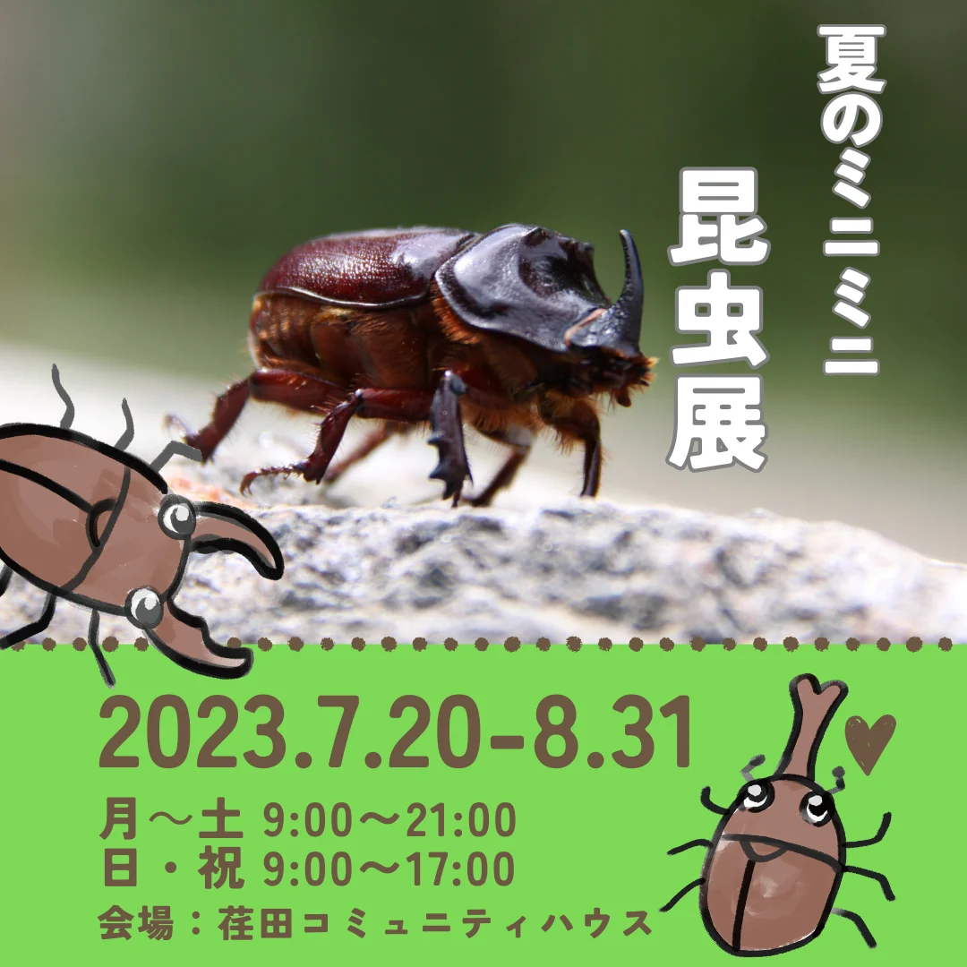 夏のミニミニ昆虫展