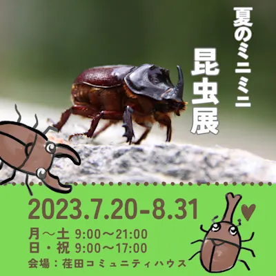 夏のミニミニ昆虫展