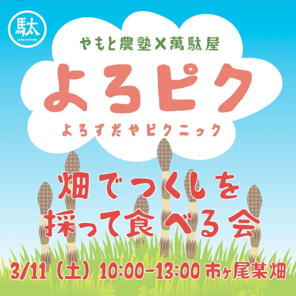 よろずだやピクニック「つくしを食べる会」