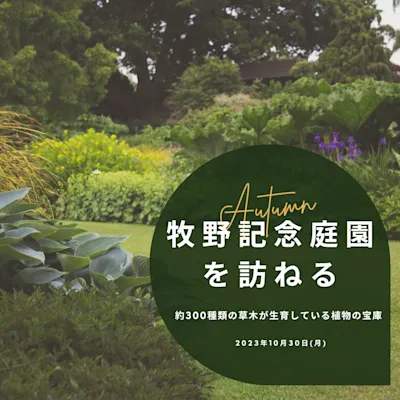秋の園芸講座 牧野記念庭園を訪ねる