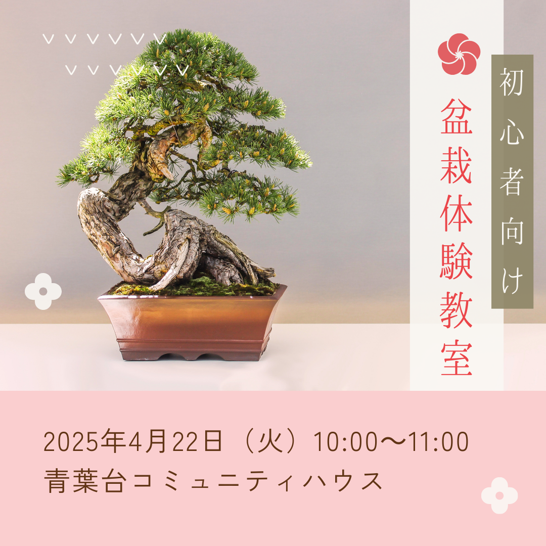 盆栽体験教室