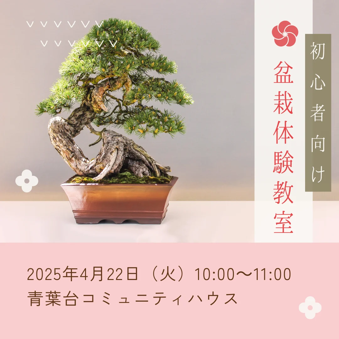 盆栽体験教室